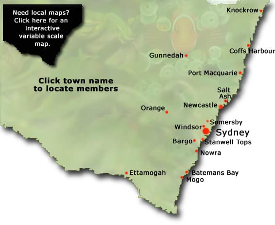 NSW state map