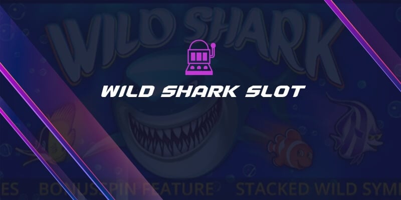wild shark slot game